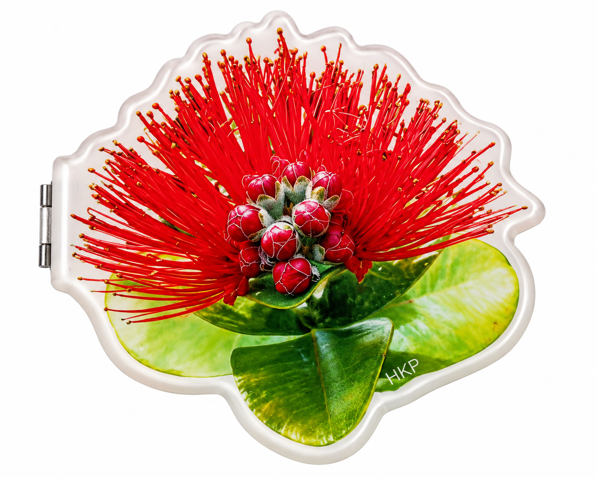 HAWAII KINE COMPACT MIRRORS