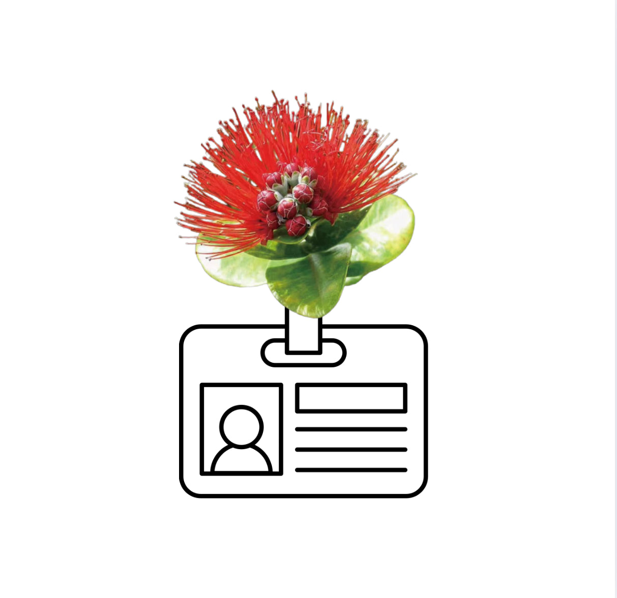 ‘Ōhi’a Lehua PHONE GRIP OR ID BADGE HOLDER