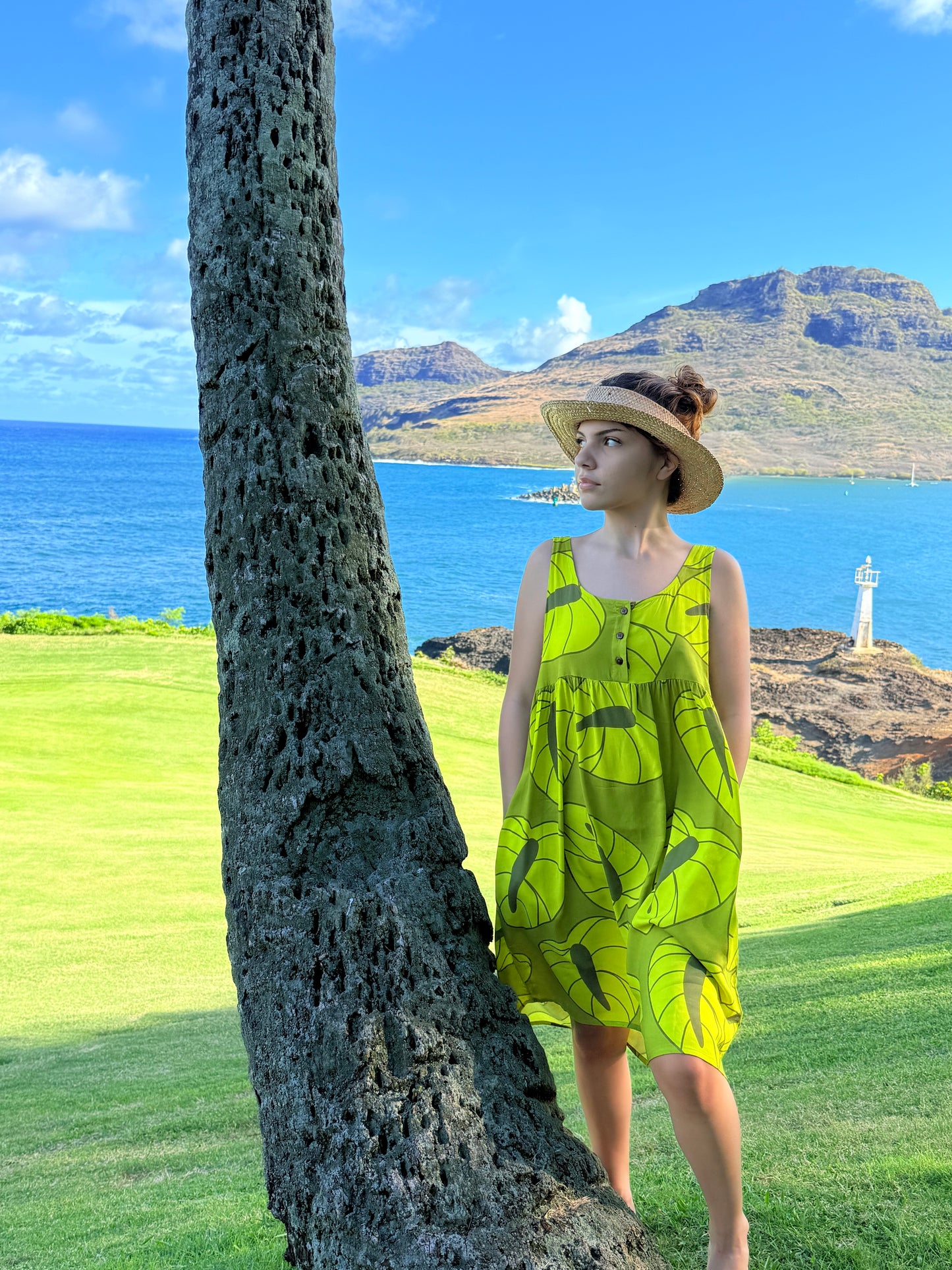 Pu’uwai Dress