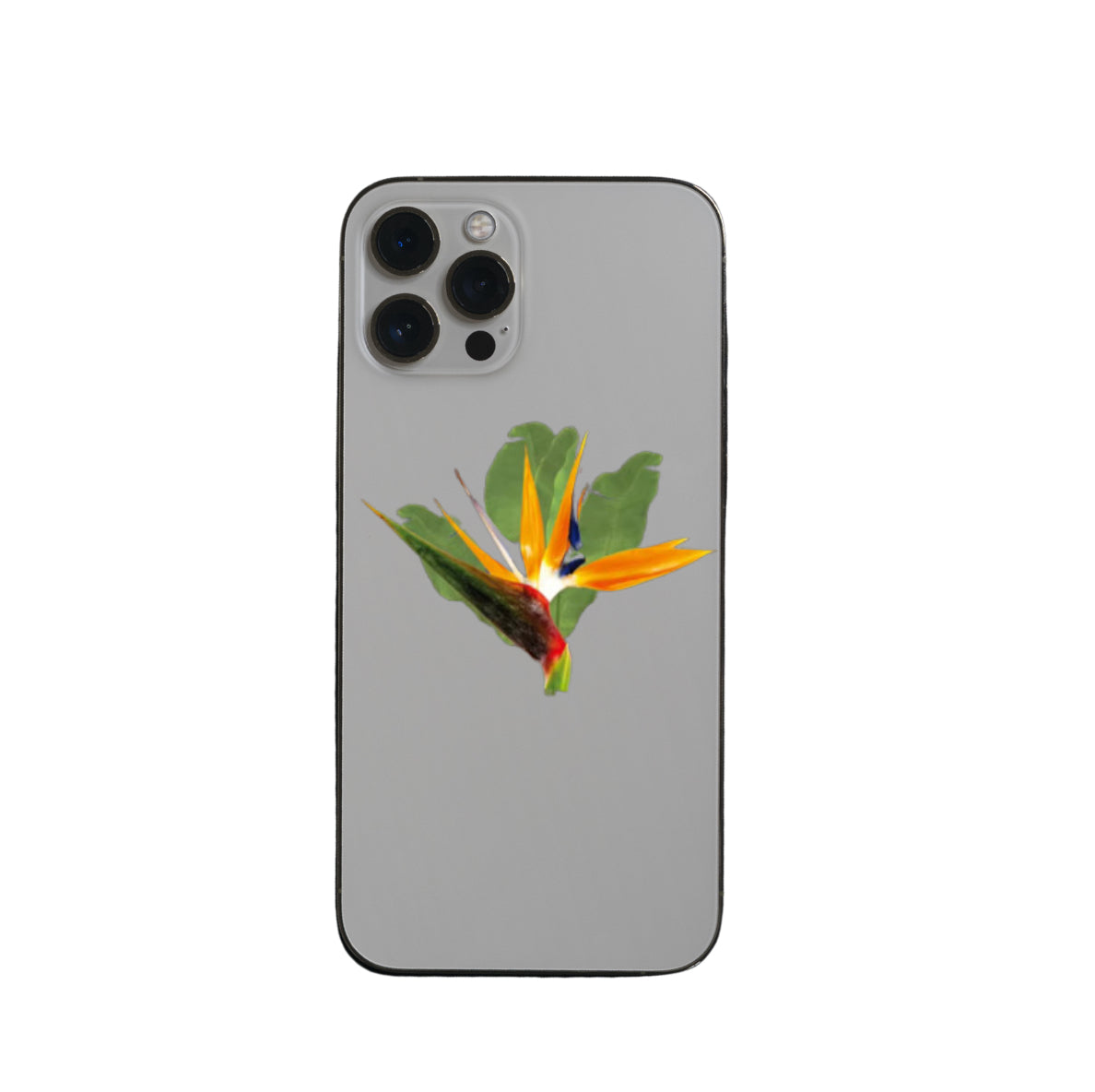 BIRD OF PARADISE PHONE GRIP