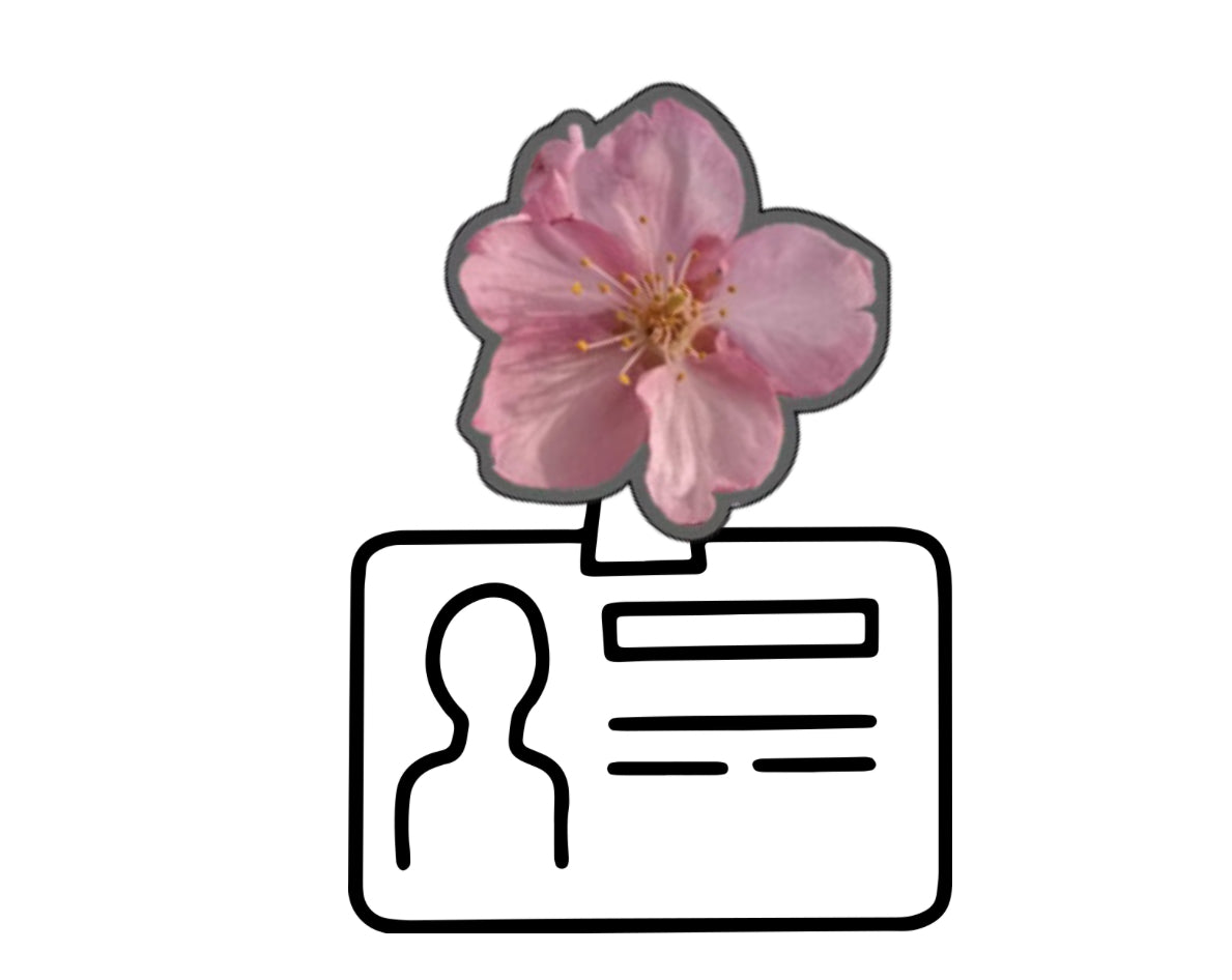 CHERRY BLOSSOM PHONE GRIP