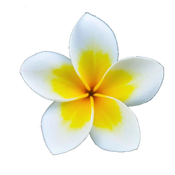 HAWAII KINE AIR FRESHENERS