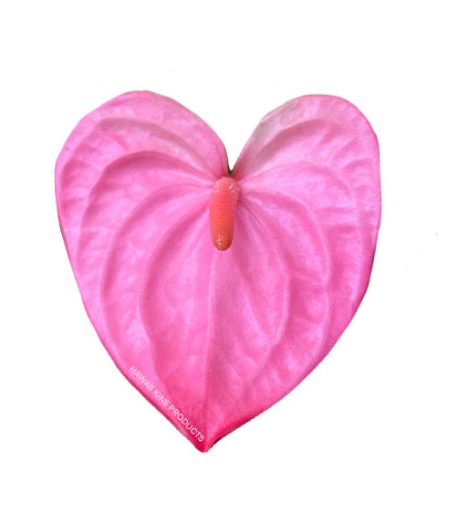 HAWAII KINE AIR FRESHENERS