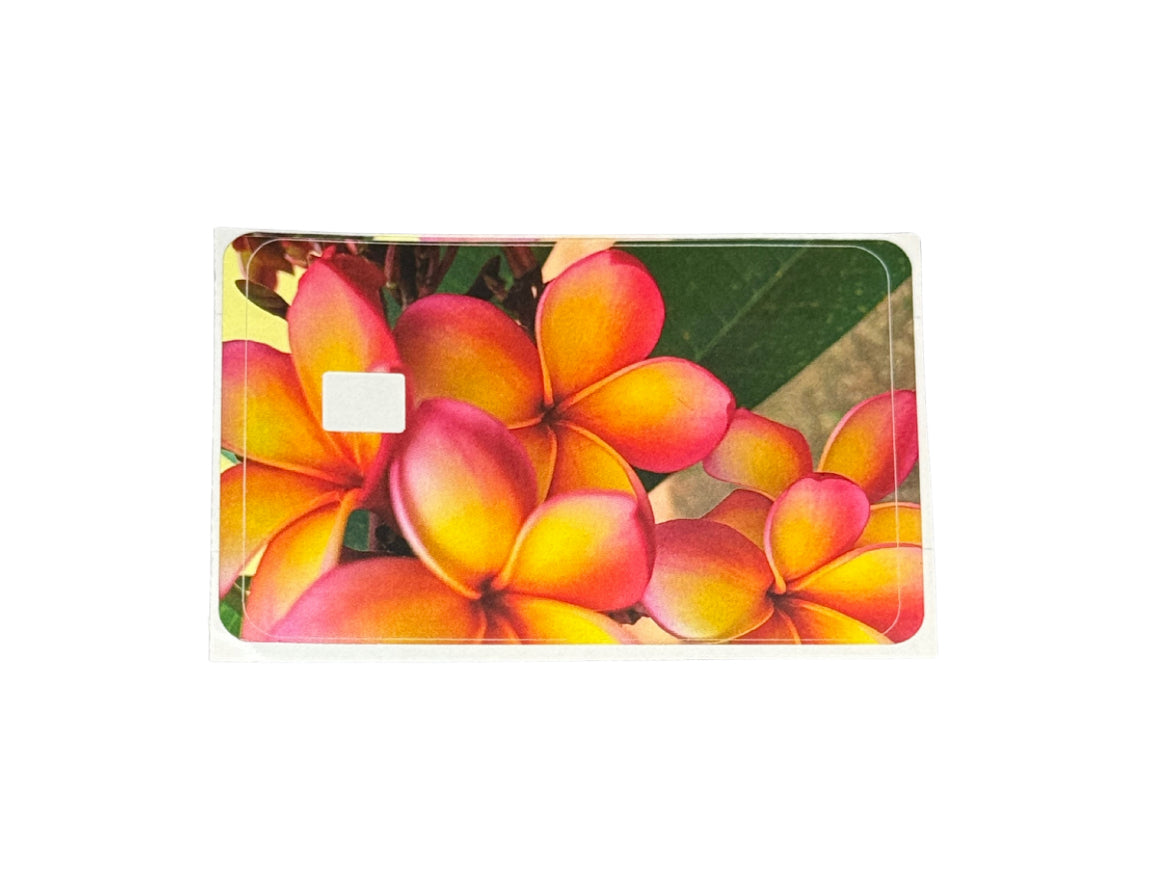 HAWAII KINE CARD SKINS