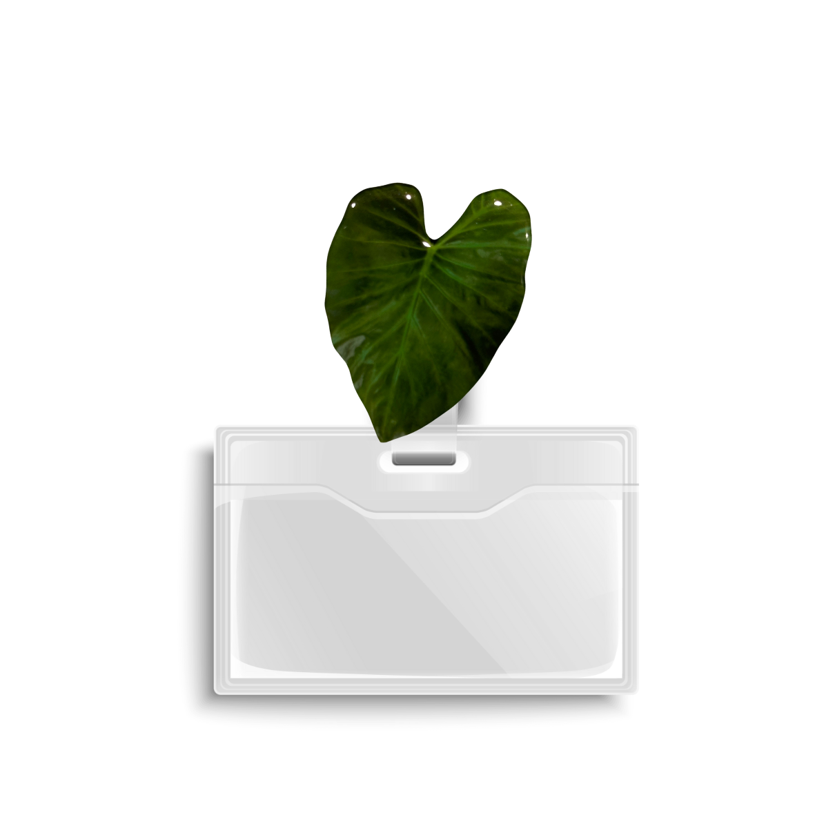 KALO PHONE GRIP PHONE GRIP OR BADGE HOLDER
