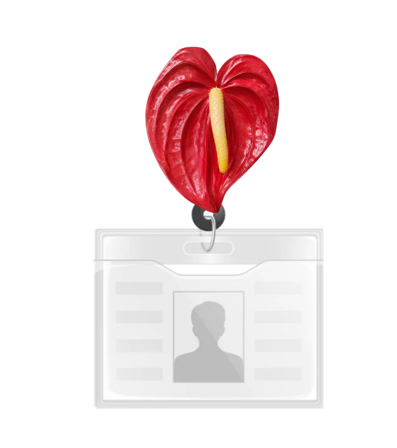 ANTHURIUM PHONE GRIP OR BADGE HOLDER ( COMES IN TWO COLORS)