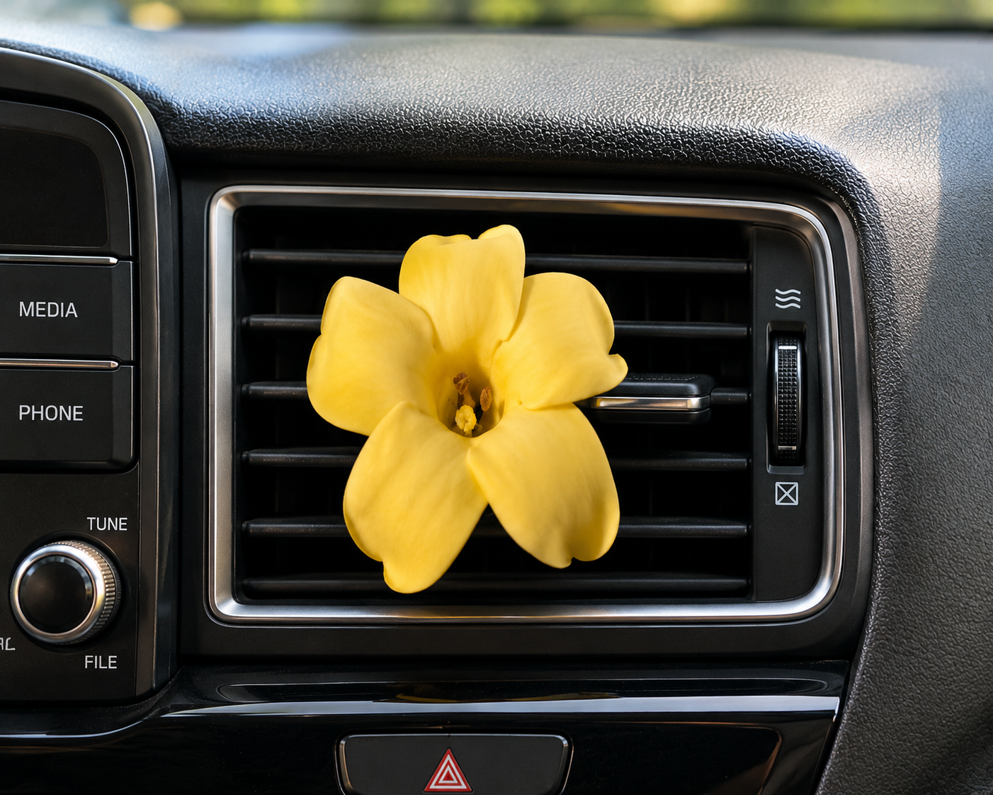HAWAII KINE CAR VENT FRESHENERS