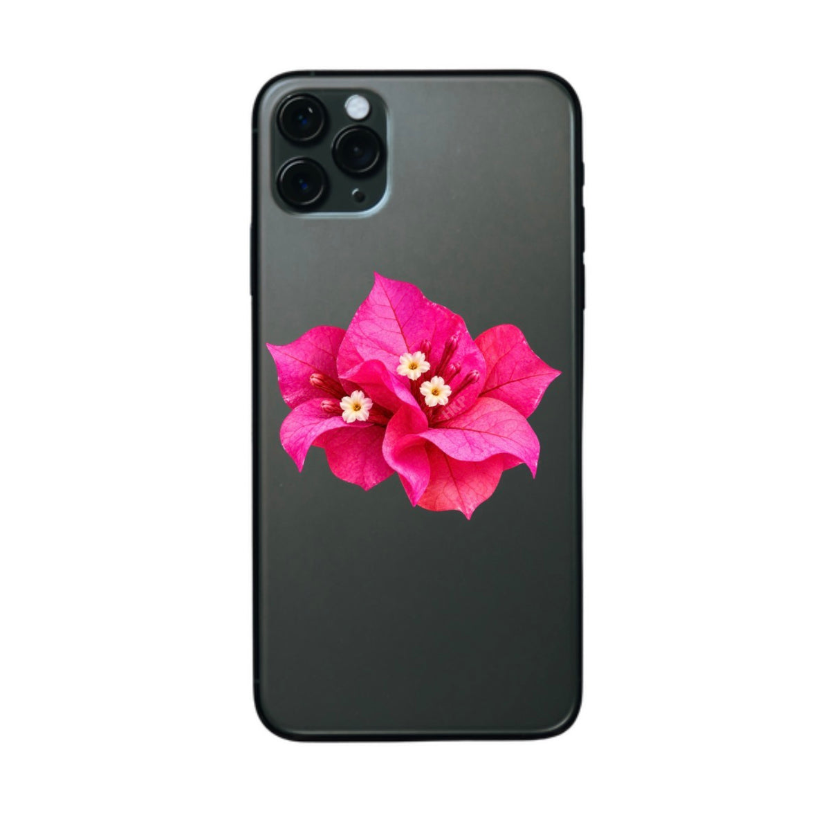 BOUGAINVILLEA PHONE GRIP MAGNETIC