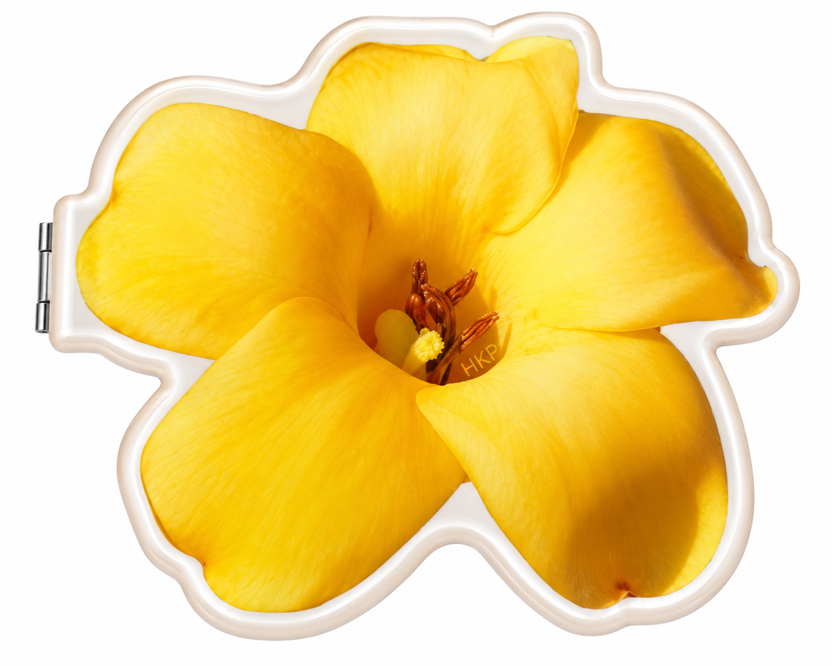 HAWAII KINE COMPACT MIRRORS