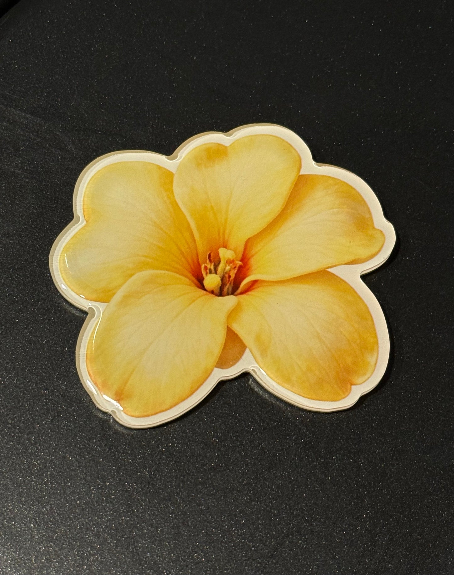 HAWAII KINE MAGNETS