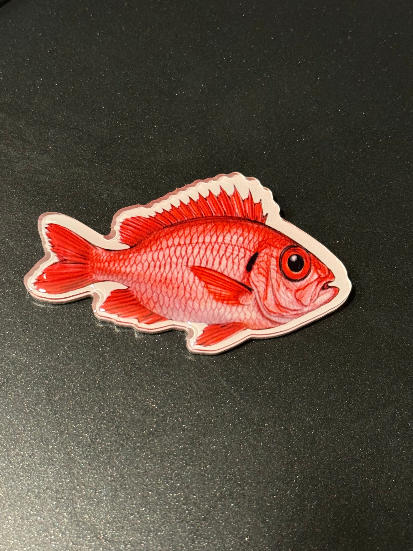 HAWAII KINE MAGNETS