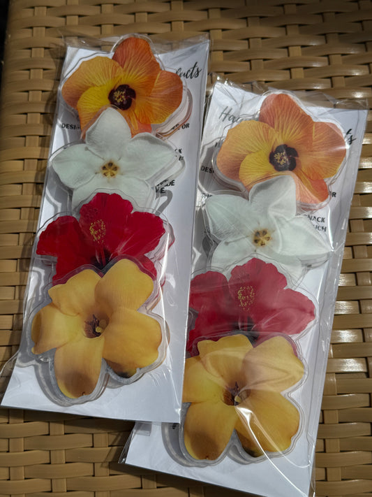 HAWAII KINE SNACK CLIPS