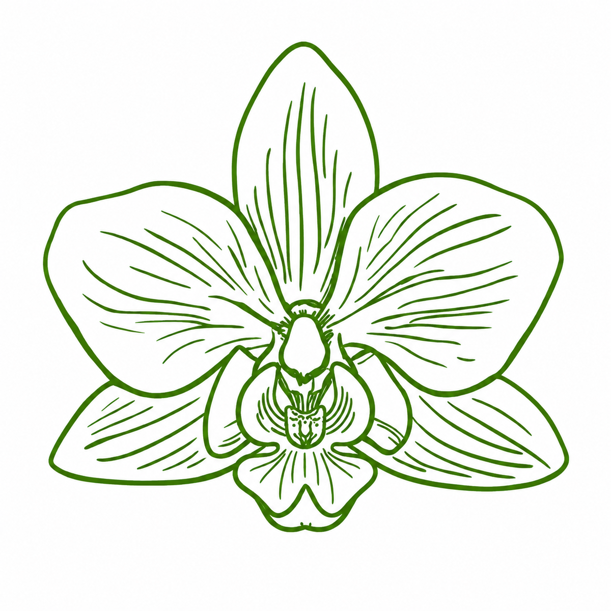 HAWAII KINE STICKERS