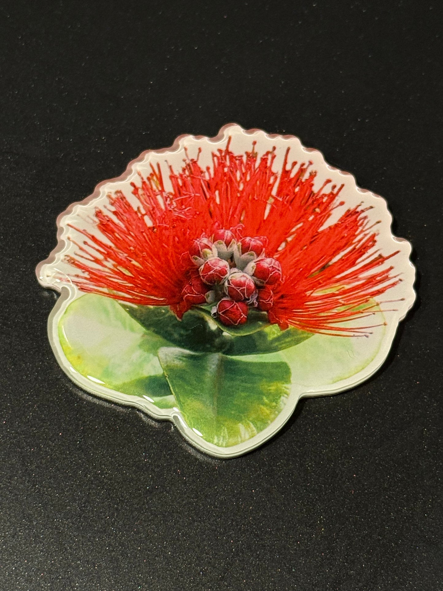 HAWAII KINE MAGNETS