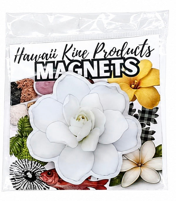 HAWAII KINE MAGNETS