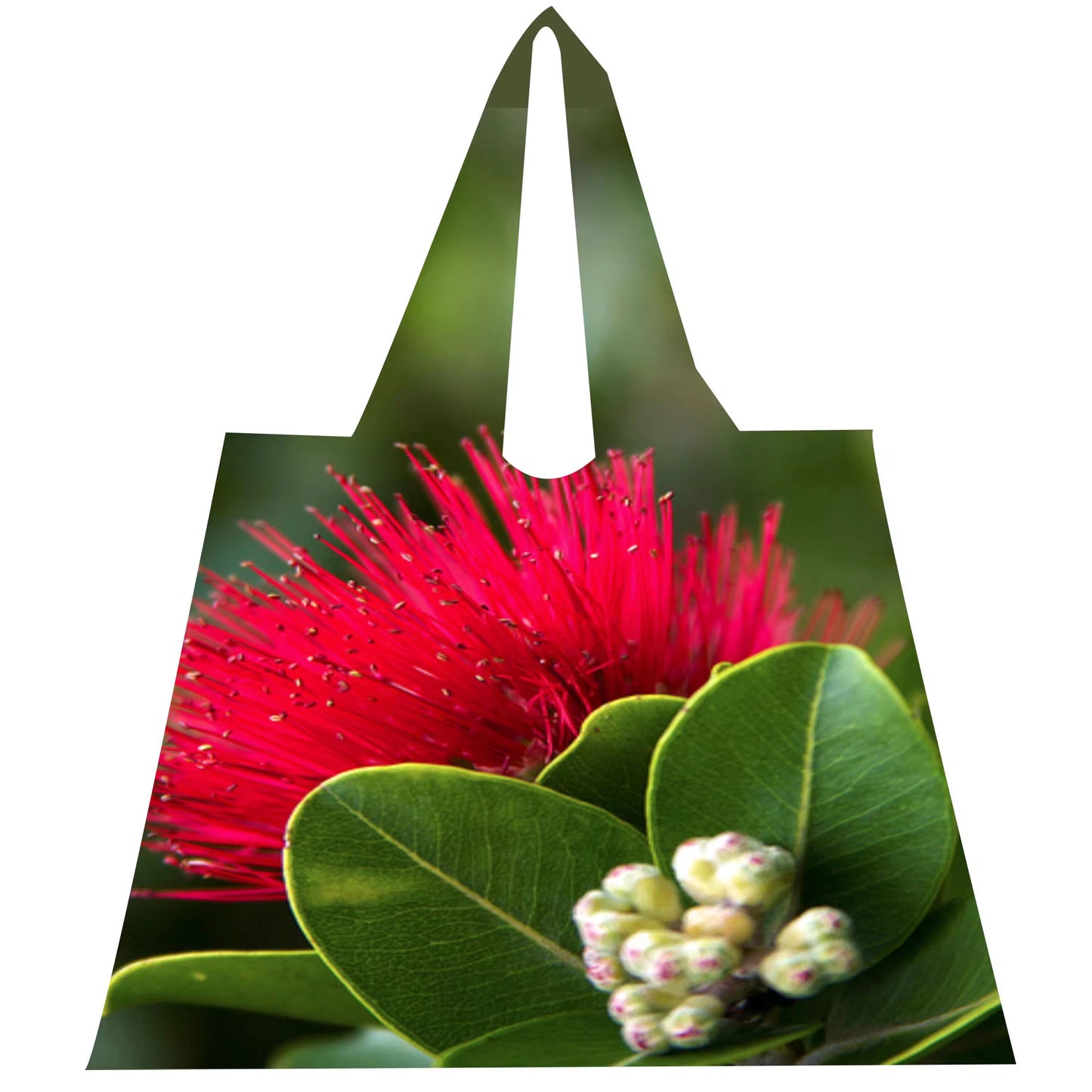 REUSABLE BAGS