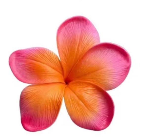 HAWAII KINE AIR FRESHENERS