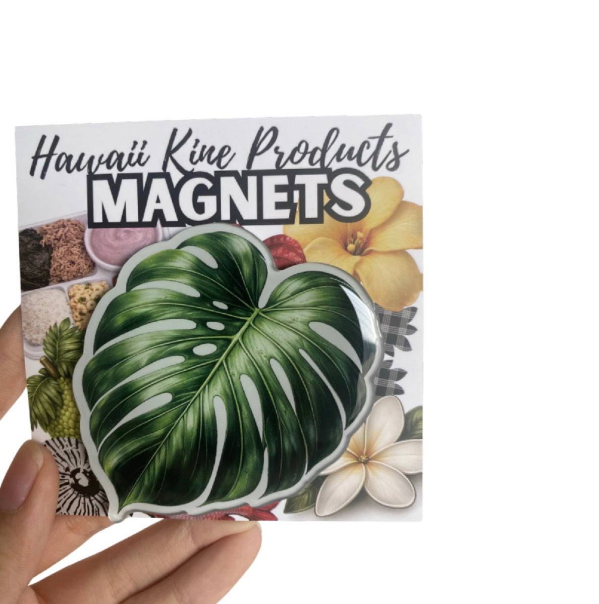 HAWAII KINE MAGNETS