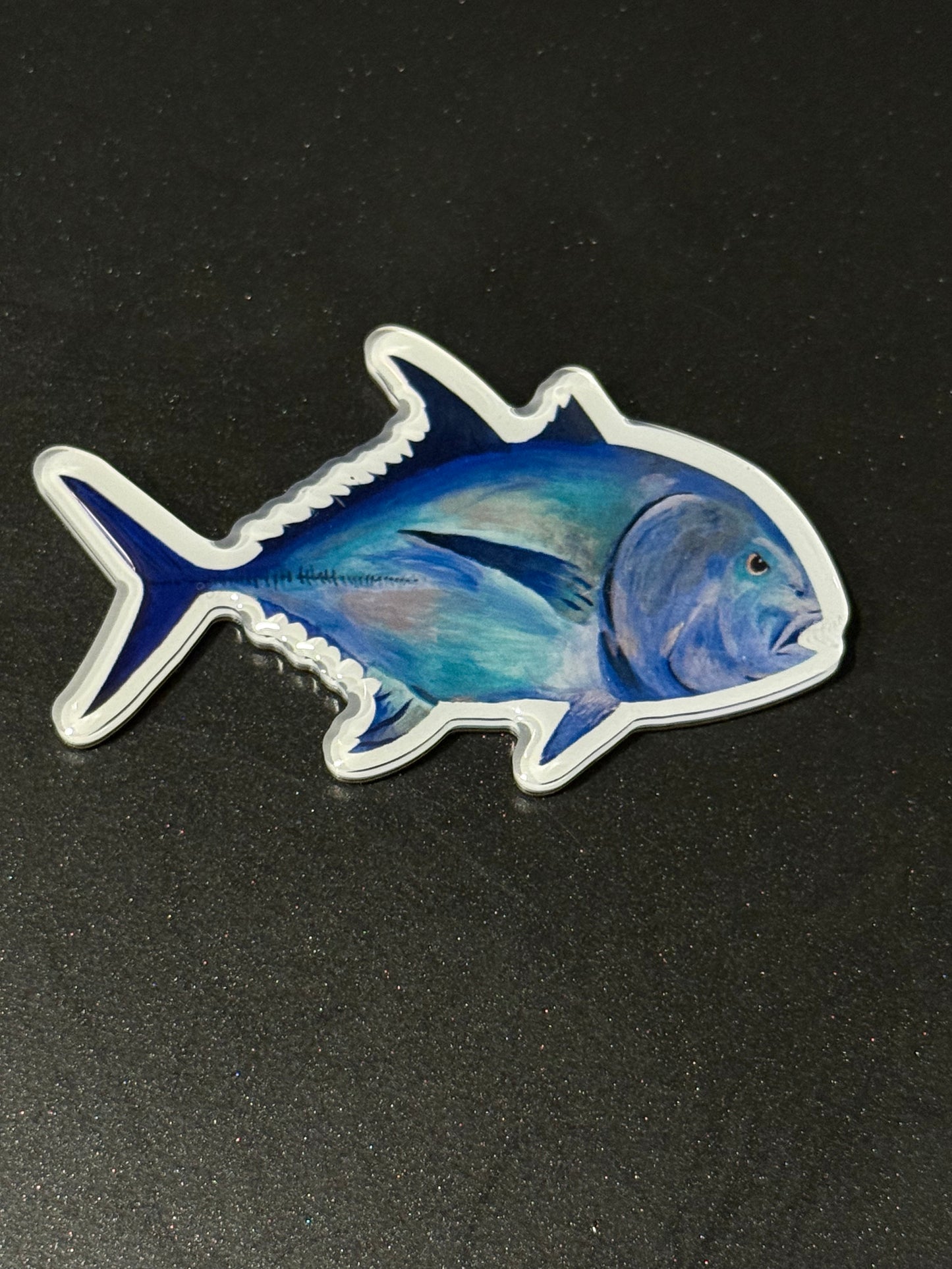 HAWAII KINE MAGNETS