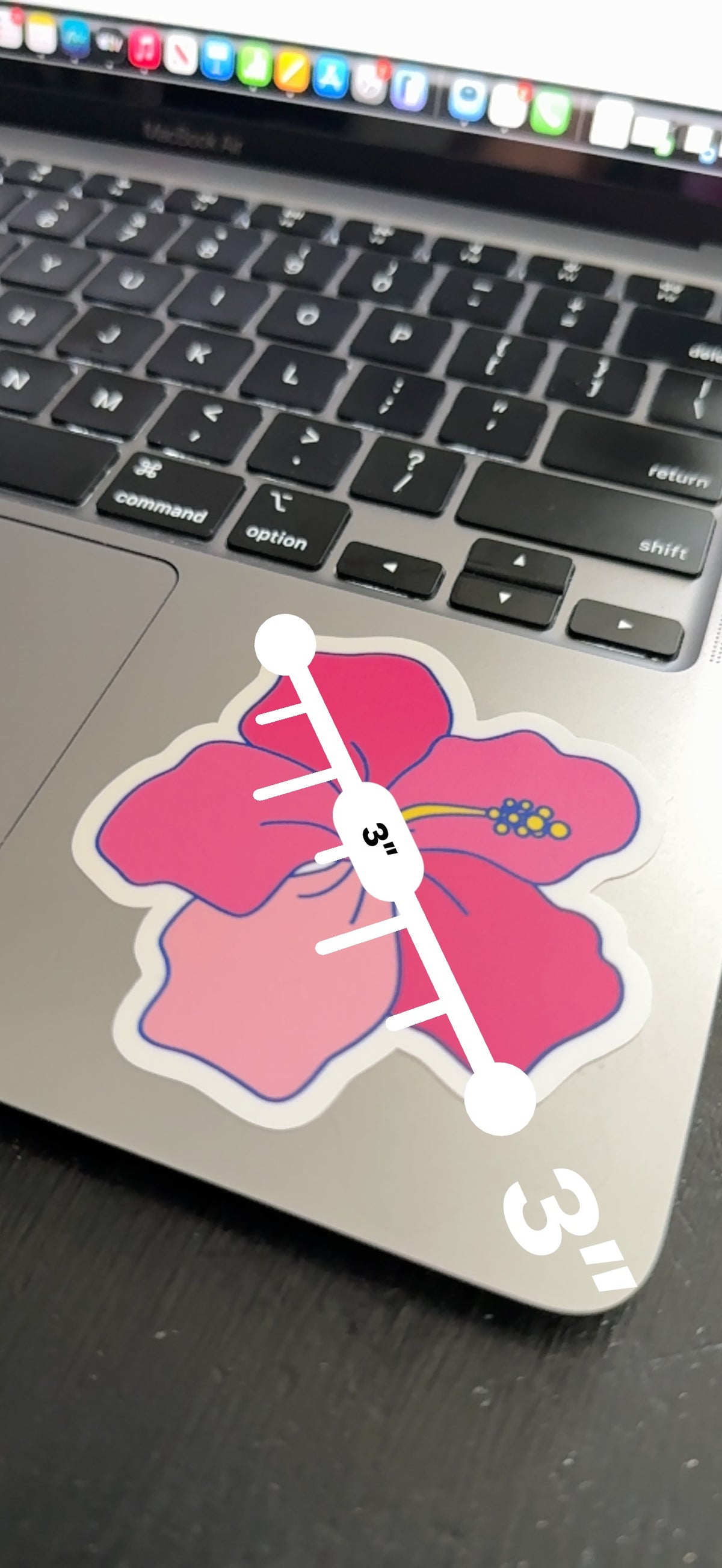 HAWAII KINE STICKERS