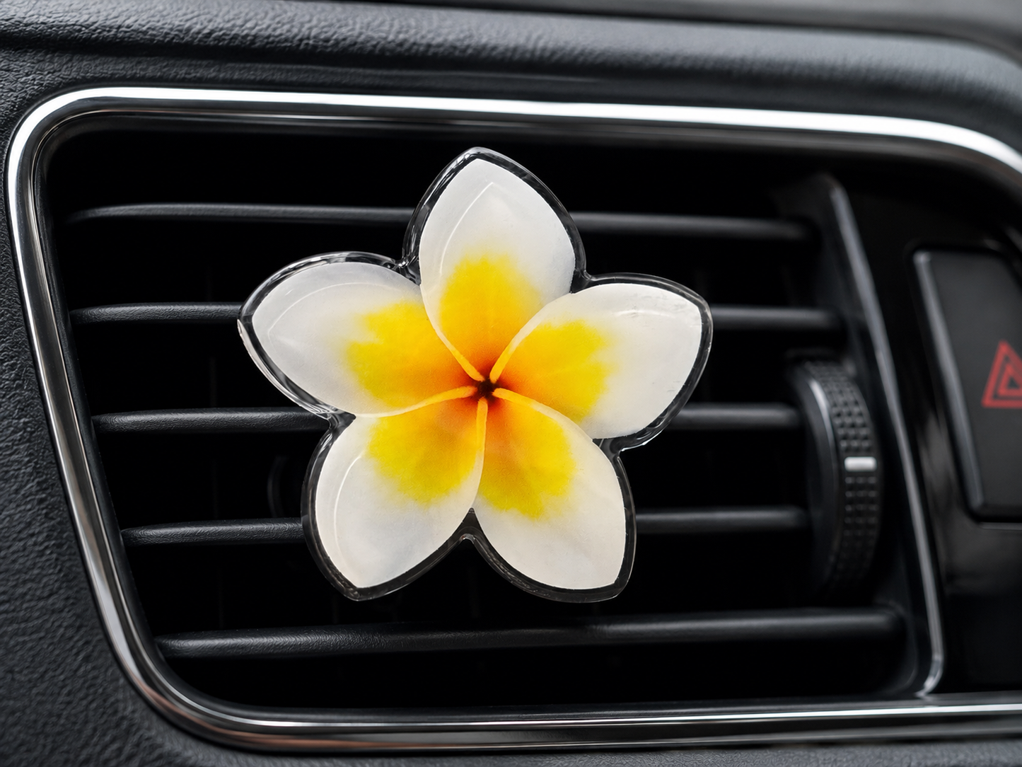HAWAII KINE CAR VENT FRESHENERS
