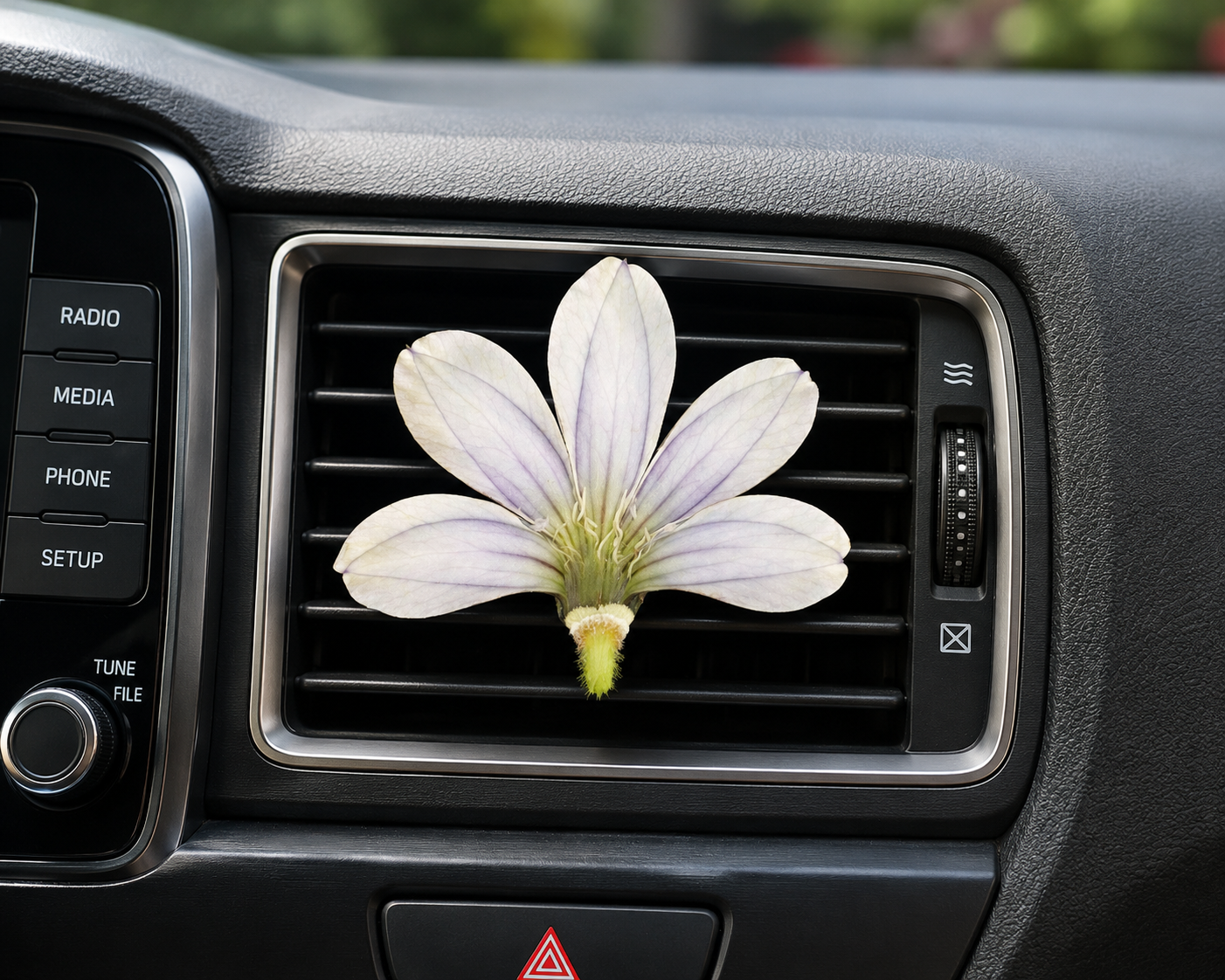 HAWAII KINE CAR VENT FRESHENERS