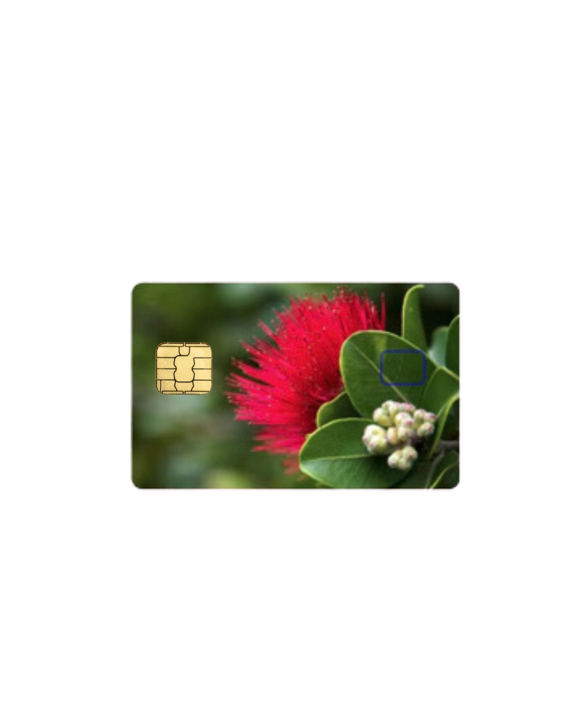 HAWAII KINE CARD SKINS