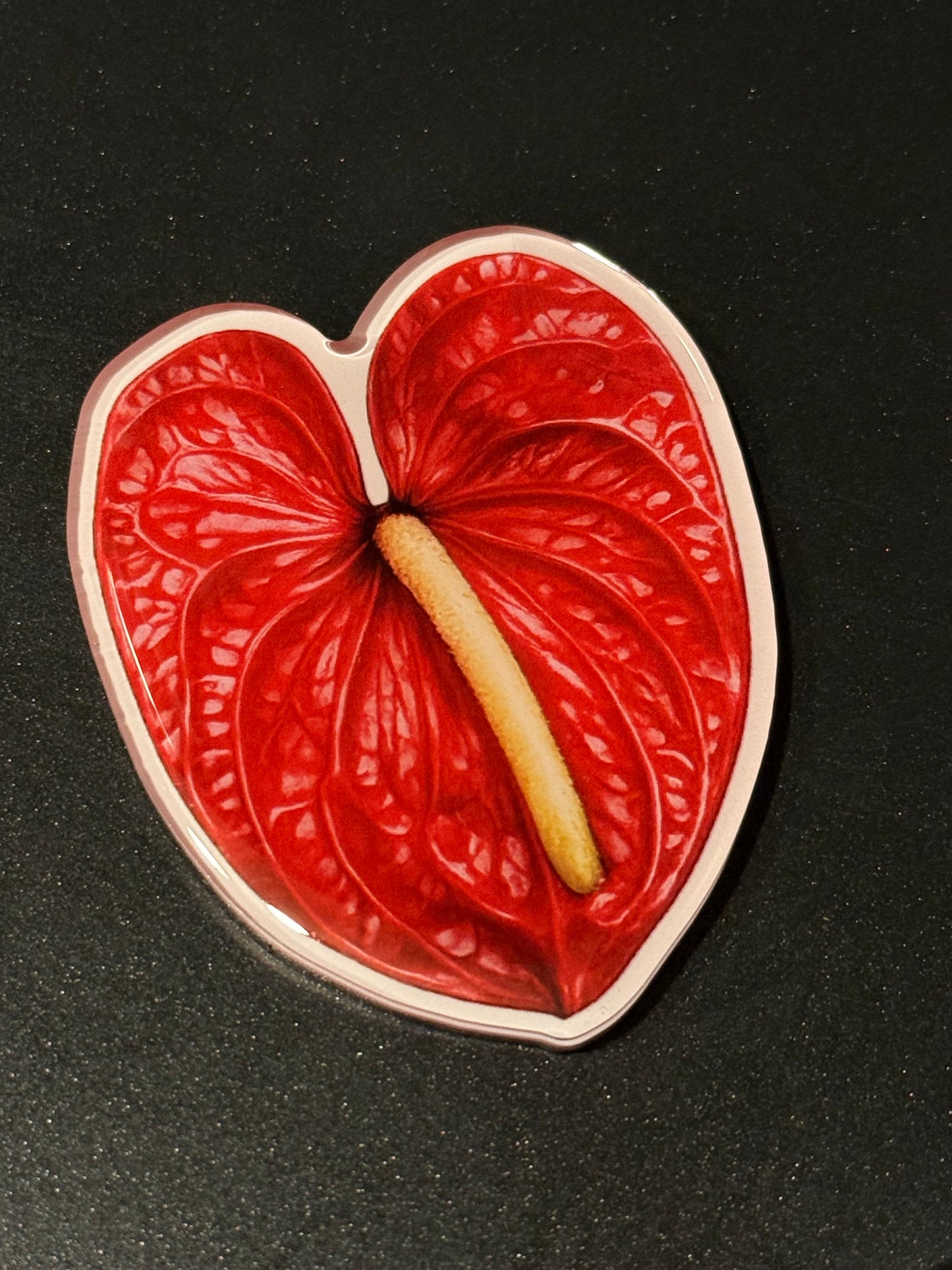 HAWAII KINE MAGNETS