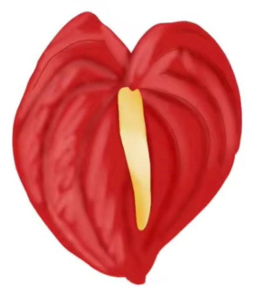 HAWAII KINE AIR FRESHENERS