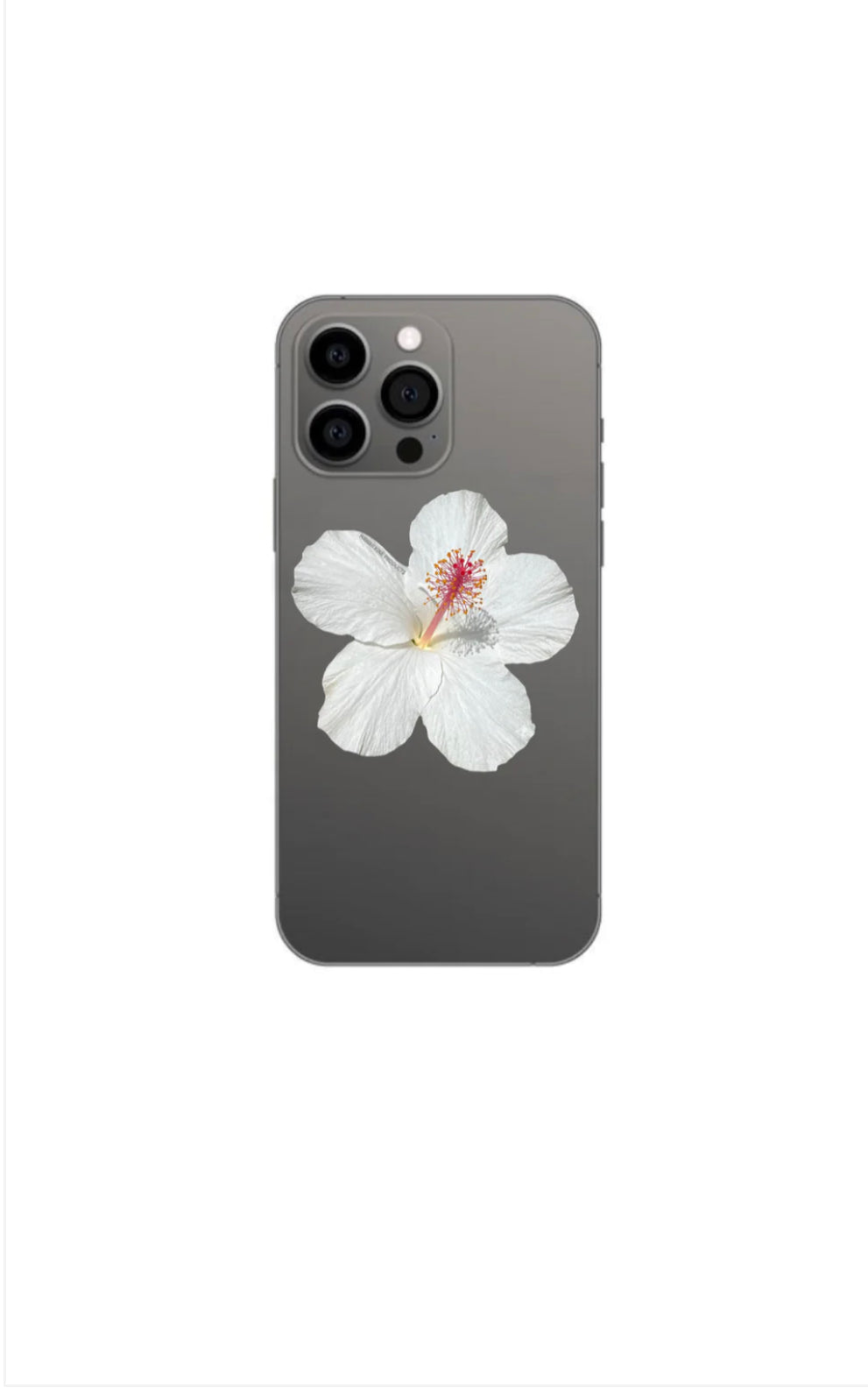 HIBISCUS PHONE GRIP OR BADGE HOLDER (COMES IN MORE COLORS)
