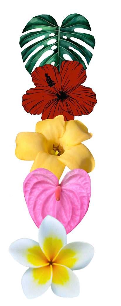 Kin Clip HAWAII KINE CLIPS VARIETY PACK OF 5 – HAWAII KINE PRODUCTS LLC