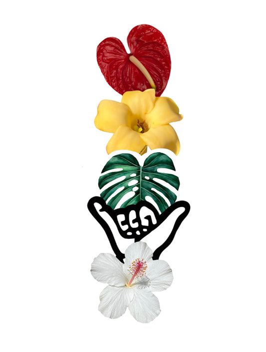 HAWAII KINE CLIPS VARIETY PACK OF 5