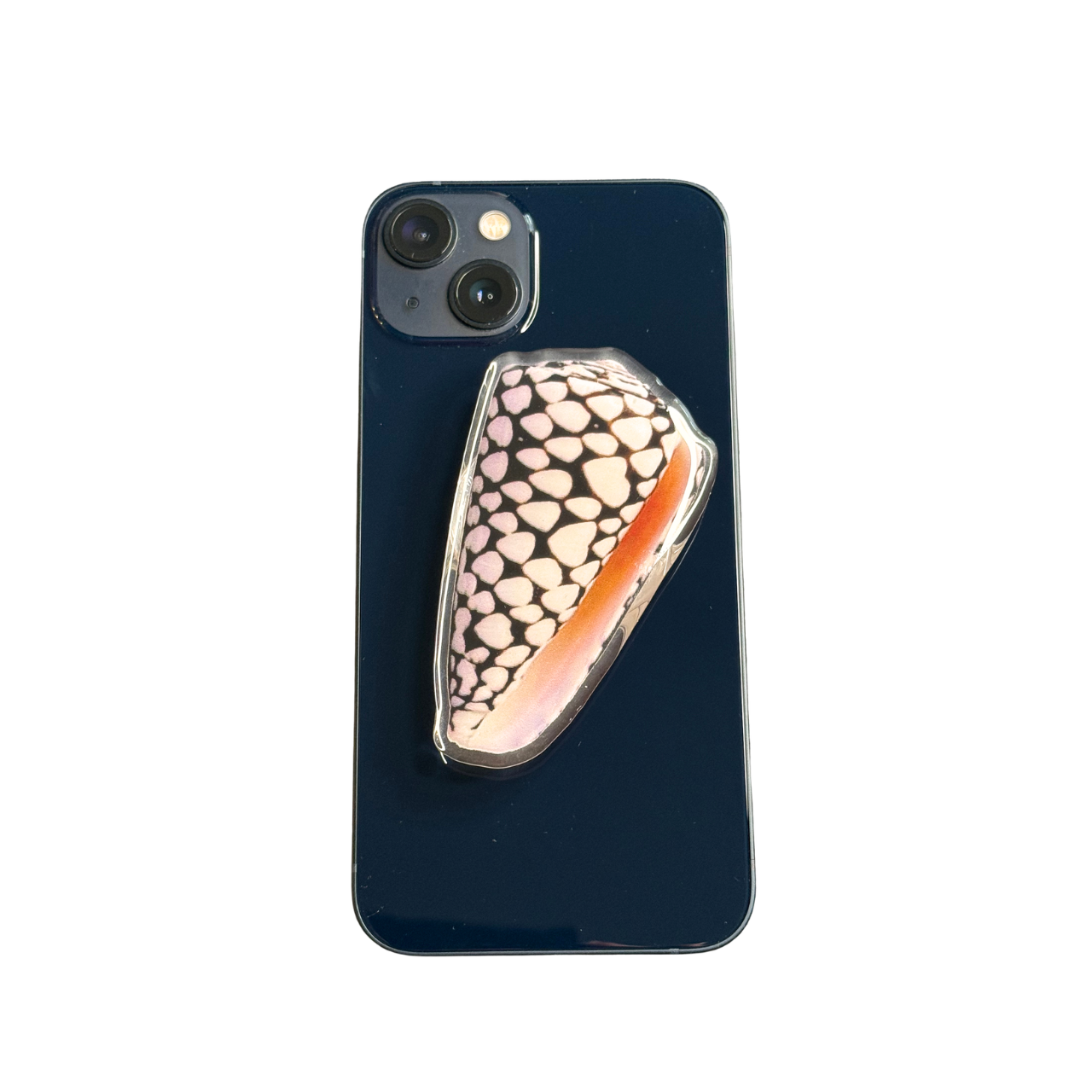 MARBEL CONE SHELL