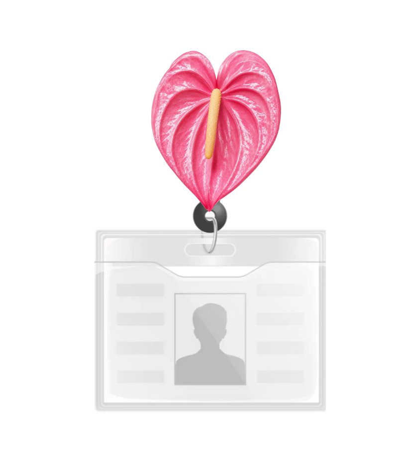 ANTHURIUM PHONE GRIP OR BADGE HOLDER ( COMES IN TWO COLORS)